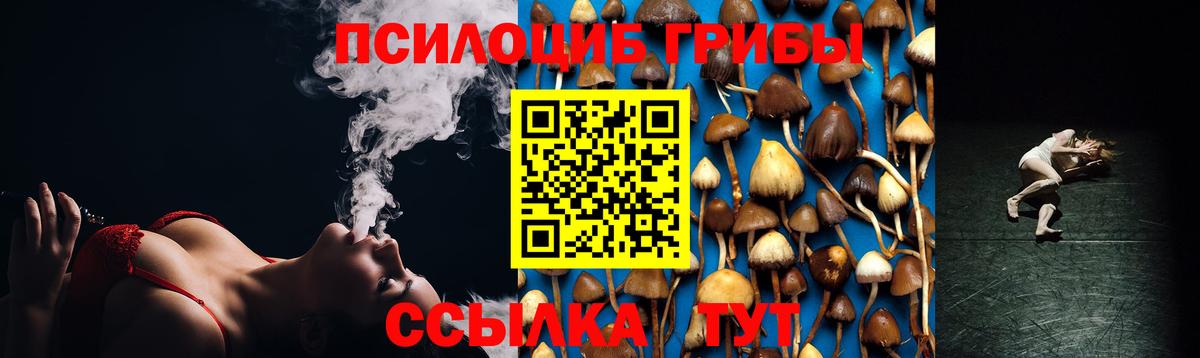 Псилоцибиновые грибы MAGIC MUSHROOMS  Вход с VPN  Красный Сулин 